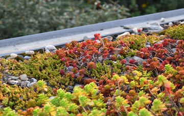 the cost of Hexthorpe green roof installation