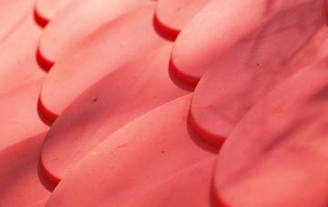 Hexthorpe plastic roof costs