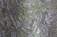 Hexthorpe fibreglass roof work